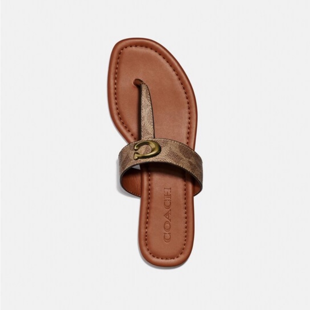 Coach Jessi Sandal